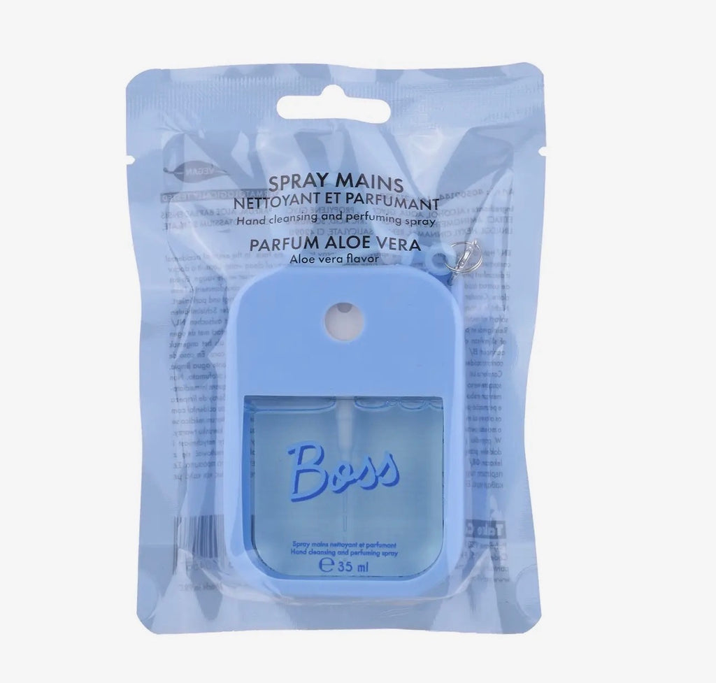 SPRAY MAINS NETTOYANT ET ETUI EN SILICONE